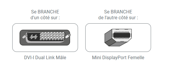 Adaptateur MINI Display male TO DVI femelle (Im)