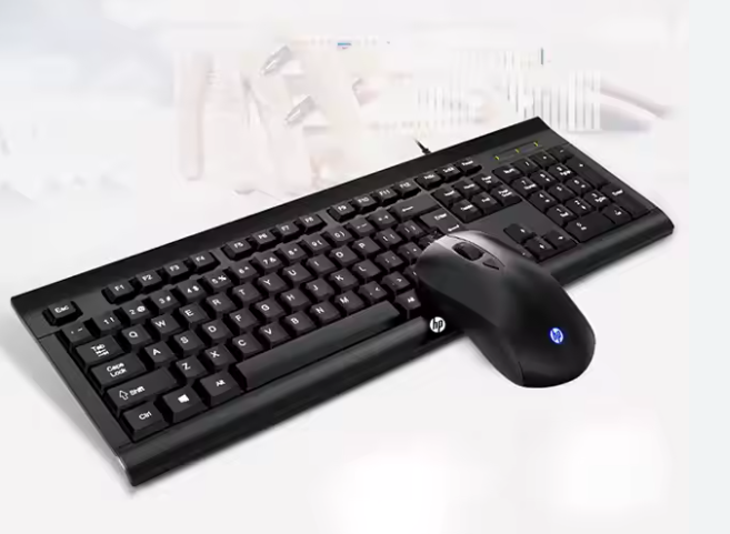 CLAVIER Souris HP KM10