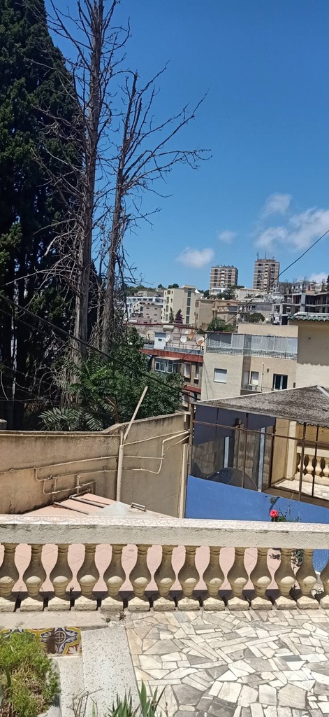 Vente Villa Alger Hydra