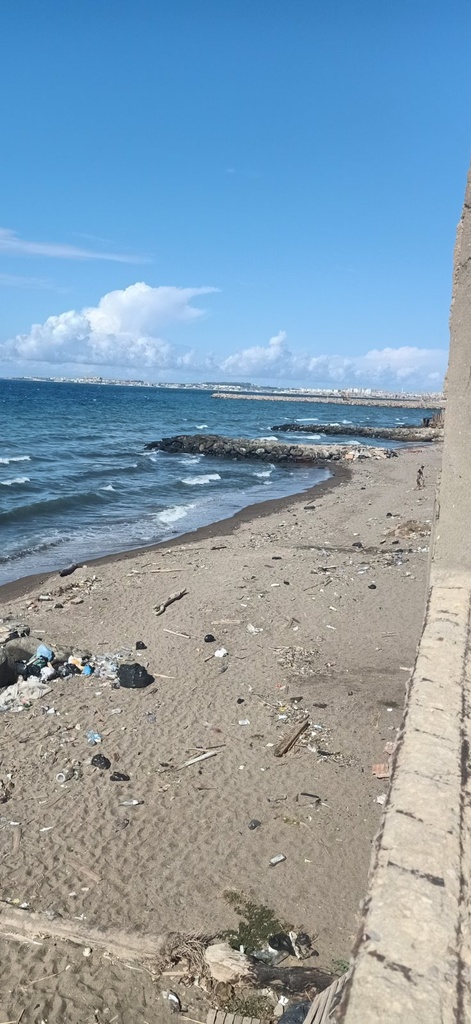 Vente Villa Alger Bordj el kiffan la vert térif