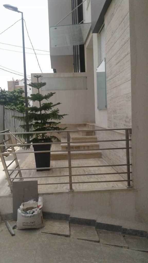 vente appartement F4 F3 Alger El Madania