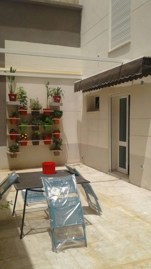 vente appartement F3 Alger El Madania